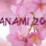Hanami w kraju kwitnących wiśni