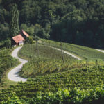 Styria. Kraina z sercem do wina